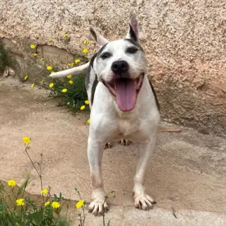 Leroy