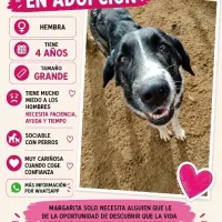 Adopta a Margarita