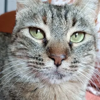 Namaste