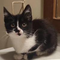 Adopta a Nami