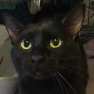 Sandra
