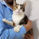Adopta a Mumi