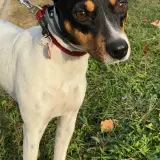 Adopta a Lola