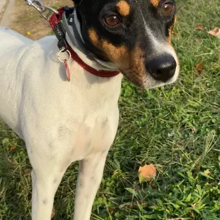 Lola