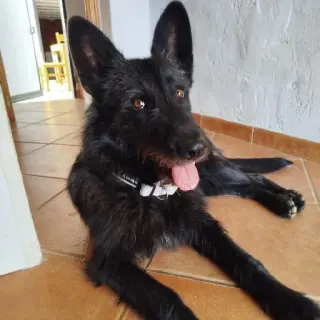 Ragua