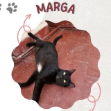 Adopta a Marga