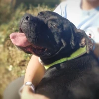 Adopta a Arba
