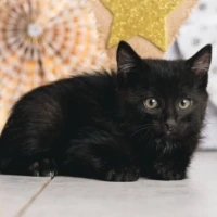 Adopta a Camada De Los Científicos