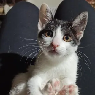 Hermione