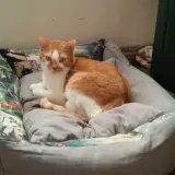 Adopta a Mina