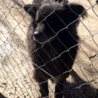 Adopta a Michael Douglas