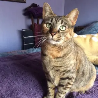 Susan