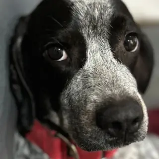 Nina