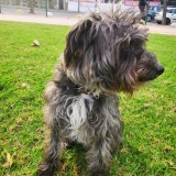 Adopta a Bilbo