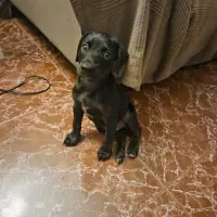 Adopta a Pilar