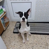 Adopta a Nana