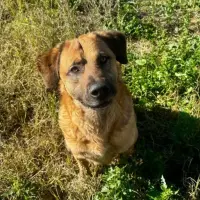 Adopta a Trabuco