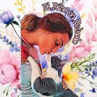 Los Michis Del Mulero