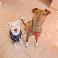 Adopta a Chocolate Y Kira💞