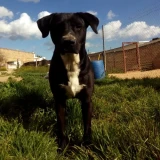 Adopta a Mora