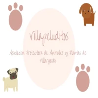 APAP Villapeluditos
