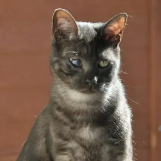 Becker
