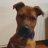 Adopta a Kaiser