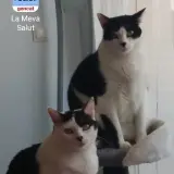 Adopta a Sol Y Luna
