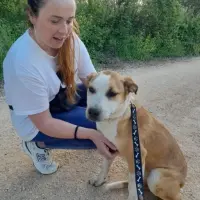 Adopta a Maya