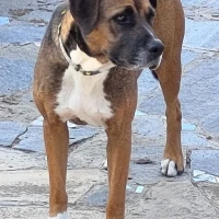 Adopta a Val