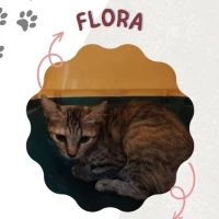 Adopta a Flora