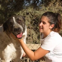 Adopta a Charlot