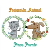 Asociación Protección Animal de Pinos Puente