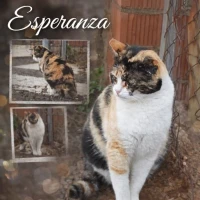Adopta a Esperanza