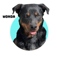 Adopta a Wonda