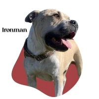 Adopta a Ironman