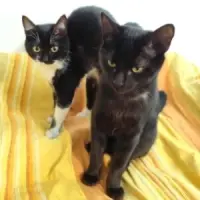Adopta a Ágatha