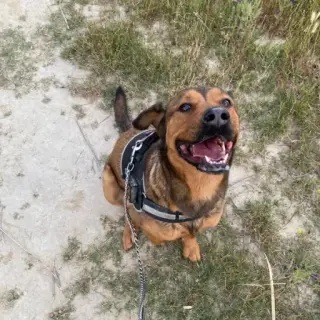 Zoey