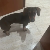 Adopta a Princesa