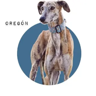 Oregòn