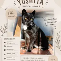 Adopta a Estefanía