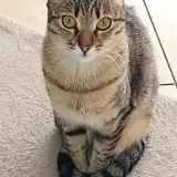Adopta a Luna