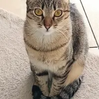 Adopta a Luna