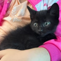 Adopta a Brezo