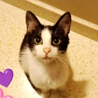 Adopta a Telma