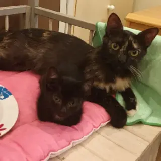Paqui Y Nico Jos