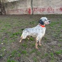 Adopta a Lur