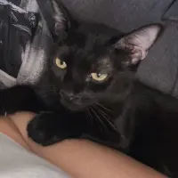 Adopta a Luna