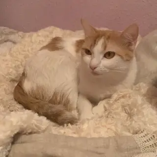 Olivia