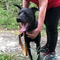 Adopta a Dony